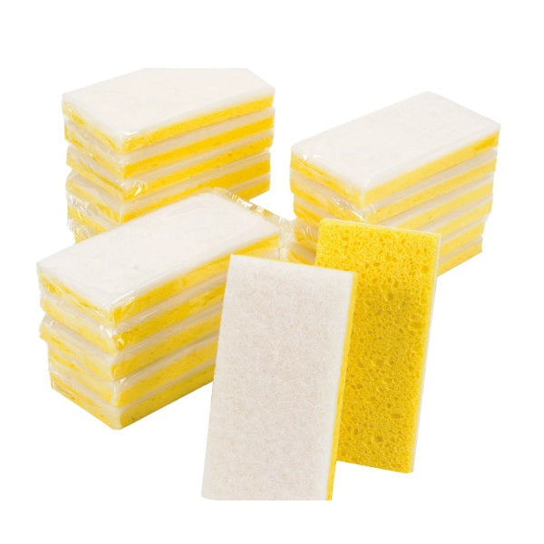 Janitorial, Scrubbing Sponges